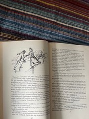 lot of vintage Chaucer, Tolstoy, Flaubert, Hardy hardcover books