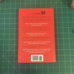 THE SMALL B!G Small Changes That Spark Big Influence Red Trade PB Steve J Martin