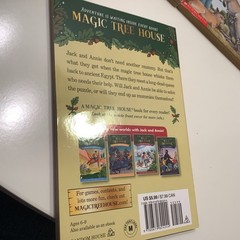 Magic Tree House box set 1-4 + various books 8, 13, 20, 21