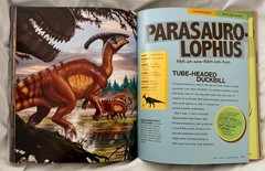 Lot 2 Dinosaur books National Geographic Kids Dino-Pedia and First Big Book