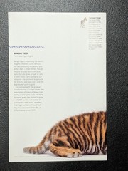 2014 Winter World Wildlife Standing Tall & 2015 Summer World Wildlife Magazines