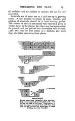 1915 War-Time Gardening How To Grow Your Own Food 64 Pages