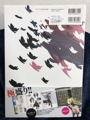 Fire Emblem Awakening Model Sheets Knights Of Iris Concept Art Book JDM MINT