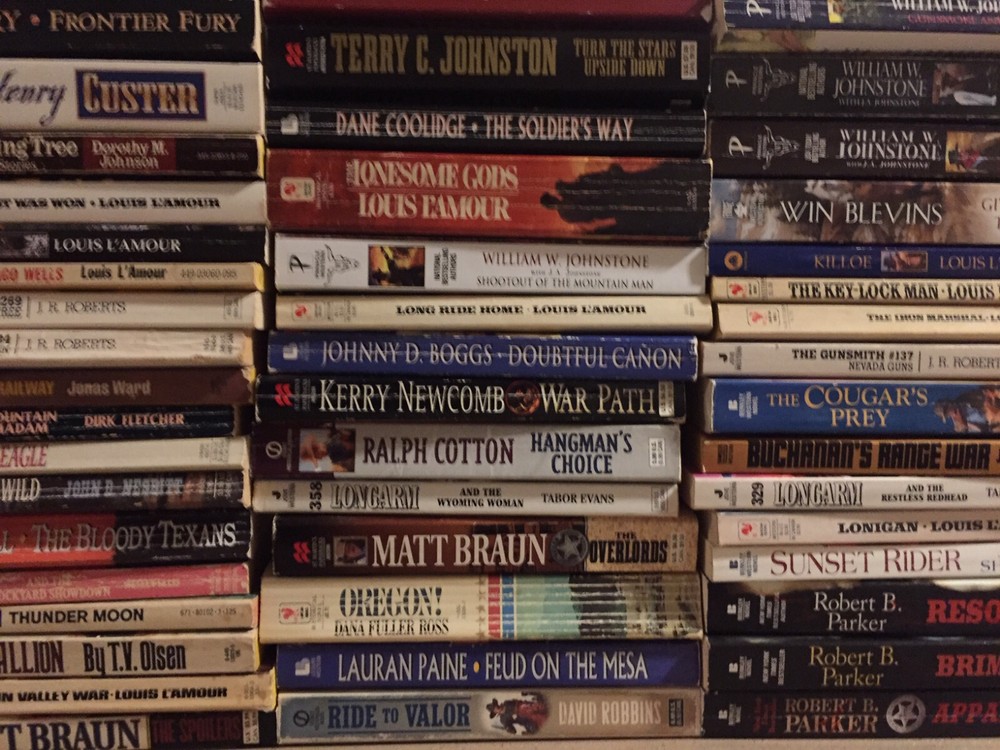 Lot of 10 Western Paperbacks Random Mix of Books