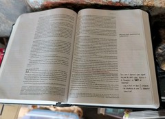 NLT BIBLE LOVER LOT J4: Includes several 1996c. Life Application Study, Journal