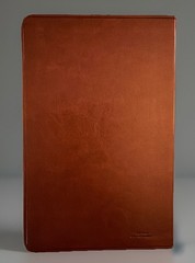 Bible (ESV) English Standard Version Large Print Value Thinline TruTone Tan New.