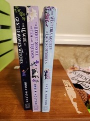 Dangerous Damsels Series, Set of 3 Books By India Holton