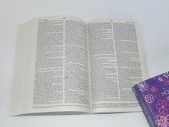 ICB Holy Bible, Purple Cover, International Children’s Bible Ages 7-11 Paperback