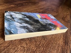 Demon’s Beach by Nicole Davidson YA Horror Avon Flare Vintage Paperback