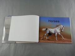 Horses Photo Book Parragon 2010 Illustrated Majestic Animals Equestrian