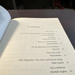 Little, Brown Good Immigrant 26 Writers Reflect America Hardcover 2019