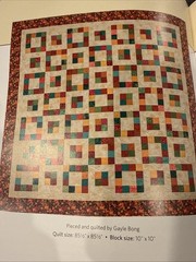 Super Scrap Quilts Book Martingale That Patchwork Place 10 Quilt Patterns