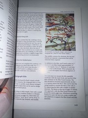 Contemporary Fused Glass by Not Available (2010, Trade Paperback)