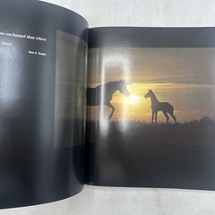 SIGNED Unicorns I Have Known Robert Vavra Hardcover wtih Dust Jacket 1983 HCDJ