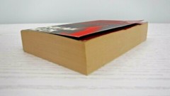 Breakneck by Erica Spindler (2010, UK- A Format Paperback)