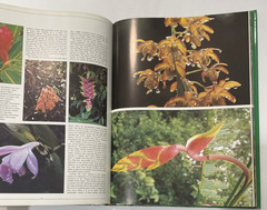Tropical Rainforests of the World Rupert Matthews Nature Wildlife Photography