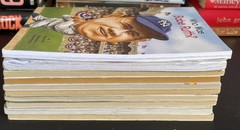 Juvenile Stories ages 4 – 8 Lot of 10 Books Children Fiction