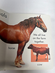 Happy Baby Animals 2002 Hardcover Jo Douglass