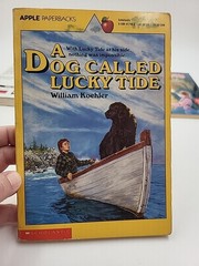 Boys, Youth, Reading books, Assort, For ages 7-11. Lot