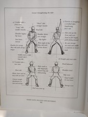 Horse Gaits, Balance and Movement Susan Harris 1993 Mechanics of Movement