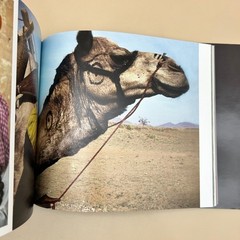 Journal Notes Michael J. Smith 2016 Travel Photography Memoir Asia Europe