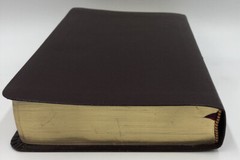 Sonrise Daily Devotional Bible~Thomas Nelson 2004 Bonded Leather ~ Burgundy