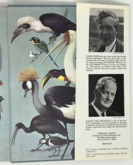 World Of Birds: New & Revised Ed. by James Fisher & Roger Tory Peterson HC w/ DJ