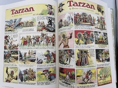 TARZAN IN THE CITY OF GOLD BURROUGHS 1st EDITION TITAN BOOKS 2014 BURNE HOGARTH