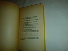 Dandelion Wine by Ray Bradbury – Vintage 1981 Paperback Book