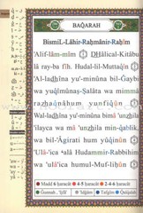 Tajweed Qur’an (Whole Qur’an, With Spanish Translation and Transliteration)