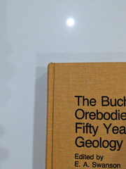 The Buchans Orebodies | 1981 GAC Special Paper 22 | Mining Geology Hardcover