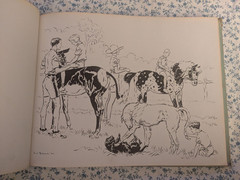 Crazy Quilt: A Story of A Piebald Pony, Illustrated, Paul Brown 1934