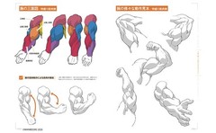 How to Draw Muscle Girls Illustration Book Manga Sketch Technique Japanese Text