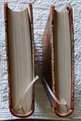 Versuch über die Ungleichheit Der Menschenracen, Gobineau, Volumes 1 & II, 1922