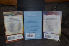 LOT 3 AMISH LOVE INSPIRED INSPIRATIONAL ROMANCE BOOKS BY LENORA WORTH P.B.