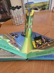 When the Wild Pirates Go Sailing by Kees Moerbeek (1997, Hardcover)