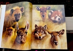 Noah’s Ark Rien Poortvliet First US Edition Abrams 1986 Illustrated HC Oversized