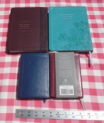 JESUS LIVES, JESUS TODAY BY SARAH YOUNG LOT OF 4 IMITATION LEATHER COVER
