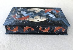 FairyLoot August 2024 YA Full Box: The Girl With No Reflection~Keshe Chow