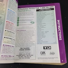 Detroit Downriver Area-Wide Telephone Directory 1998-99 TDI Talking Phone Book