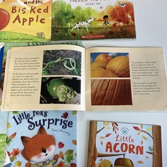 Thanksgiving Holiday Pumpkin Day Care Preschool Kindergarten 10 Book Lot