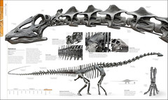 Dinosaurs and Prehistoric Life: the Definitive Visual Guide to Prehistoric Anima