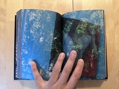 Daido Moriyama’s TOKYO ONGOING (RARE SIGNED EDITION!) (GREAT SHAPE!)