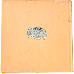 Toad by Anne Rockwell illustrated by Harlow Rockwell – Hardcover Book 1972