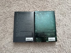 Lost Voices Series Lost Voices & Waking Storms by Sarah Porter Hardcover Set