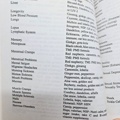 Spiritual Nutrition / Healthy Foods Handbook – Keith T. Wright 1989 Pbk