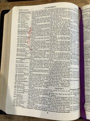 Thompson Chain Reference Bible KJV Genuine Morocco Leather 1964 Kirkbride 4th
