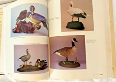 Game Bird Carving Tools Techniques Bruce Burk Vintage Book 1972 HC DJ Decoy