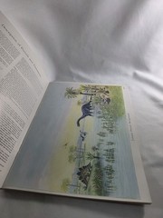 Dinosaur Dioramas to Cut and Assemble by Matthew Kalmenoff (1983, Paperback)