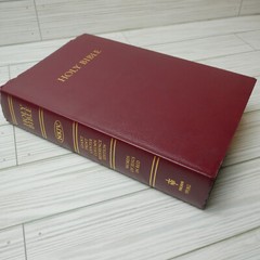 Holy Bible Thomas Nelson New King James Version Words of Christ in Red 1994 READ
